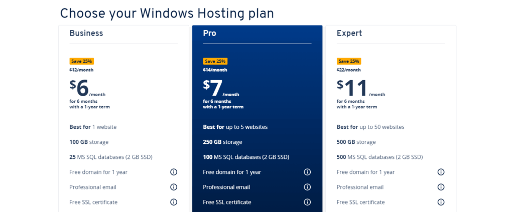 IONOS Hosting Windows Hosting Plan