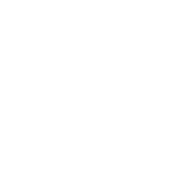 domain name search